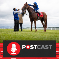 Cazoo St Leger  Irish Champion Stakes | Racing Postcast 