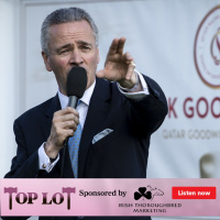 Top Lot sponsored by Irish Thoroughbred Marketing