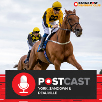 York, Sandown  Deauville | Horse Racing Tips | Racing Postcast