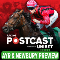 318: Ayr  Newbury Preview | Horse Racing Tips | Racing Postcast | Unibet