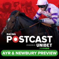 161: Ayr and Newbury Preview | Horse Racing Tips | Racing Postcast sponsored by Unibet