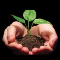 Episode 44 Danielle Guldin