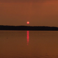 Polish to polish: Lesson 1 (Valentines Day)