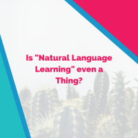 Is Natural Language Learning even a thing?