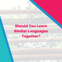 Should You Learn Similar Languages Together?