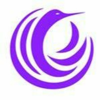 Kakana: An online fitness program for individuals with disabilities