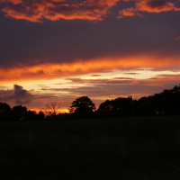 AQA 2008- GCSE -Role-play 5