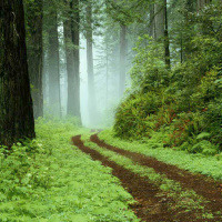 Episode 10- Dr.Afshan Hashmi in conversation with Author Rene D. Schultz