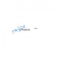 Team Phoenix (6th) 2/2010