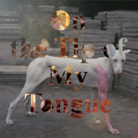 Sound catalogue: On the Tip of My Tongue. Chapter 2: A meeting with Pierre Huyghe