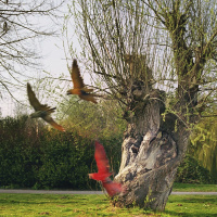 Artist talk: Marijke van Warmerdam