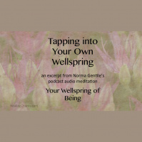 AUDIO Remembering Who You Are by Tapping into Your Wellspring of Being