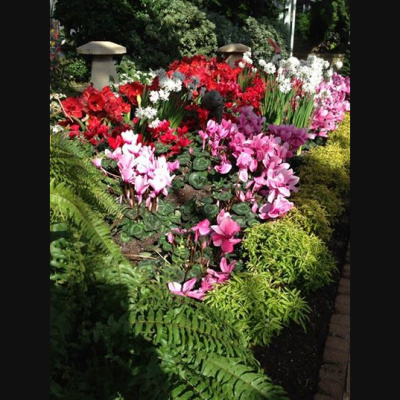 Norma Gentile Sound Shaman Www.healingchants.com