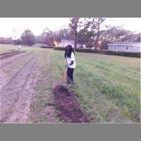 World Food Day de Gullah/Geechee Way