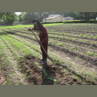 Layers of Black History: Gullah/Geechee and the Battle to Protect Land  Legacy