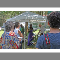 Economics of Black History pun de Land of de Gullah/Geechee