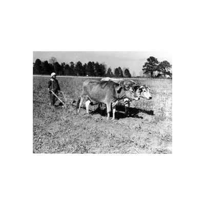 Gullah/geechee Nation