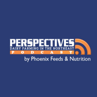 Perspectives Podcast 005 – Lt. Governor Phil Scott