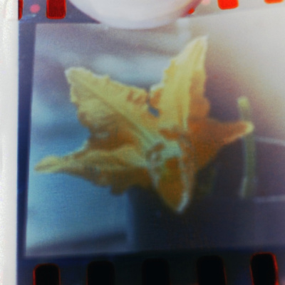 Lessons In Life - Mental Maths.