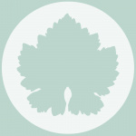 Vineyard Lake Charles