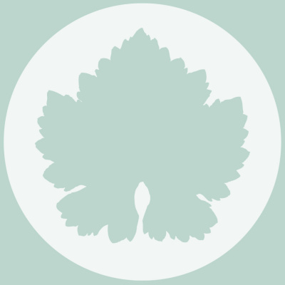 Vineyard Lake Charles