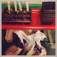 Ting Tar Tid - Podcast 2(100)