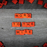 Word to the Wise | Corrects and Disciplines