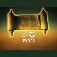 Ki Tetzei 2015 - Audio