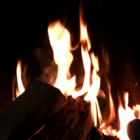 Mac OS Ken: Live 12.07.2011