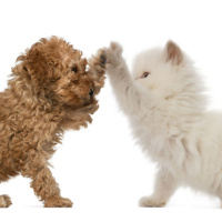 E165: How Can We Gain Credibility as Practitioners?