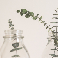 E108: Integrating Spa Upgrades Into Your Massage