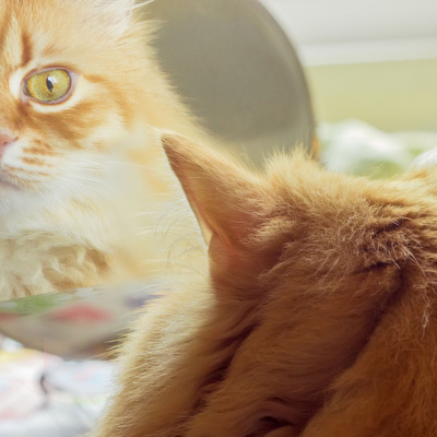 Massage Business Blueprint