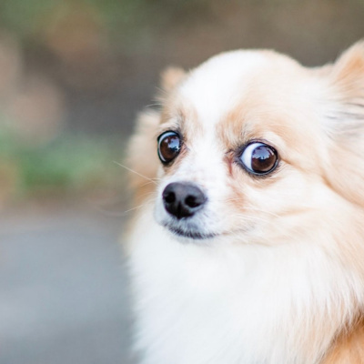 Massage Business Blueprint