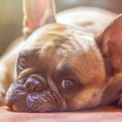 Massage Business Blueprint