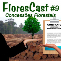 FloresCast #9 - Concessões Florestais