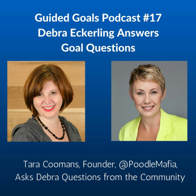 Guided Goals Podcast
