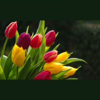 Special Podcast guest- Garry Spence