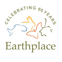 AFL Foster Caregiver Program - Bye-Bye Mattress - Harbor Watch @ Earthplace