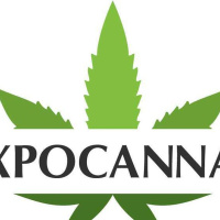 Special Report: CT Cannabis Expo