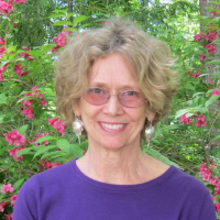 Sally Loughridge - Daniel and His Starry Night Blanket: A Story of Illness and Sibling Love