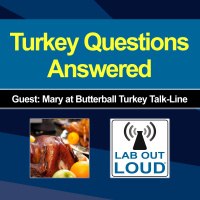 [mini-lab] Turkey Questions Answered