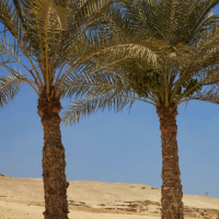 Love Island- Is It A Moral Desert?