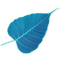 Dharmette: Know for Yourself (3 of 5) Guided by the Wise