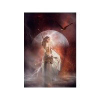 Warrior of Compassion Reflections