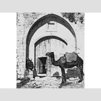 Warrior of Compassion Study - 6