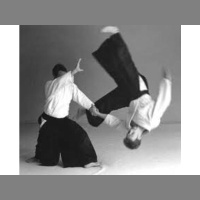 Warrior of Compassion Study Link 3