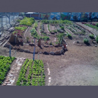 Gods Kind of Perfect