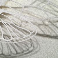 Podcast: Jacki Whisenant and Rob Lundbergs Not To Scale