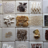 Podcast: Hannah O’Hare Bennett’s feral materials