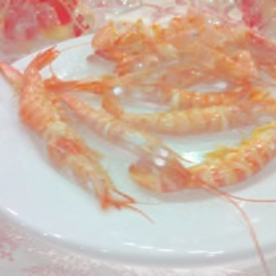 Iohannes Cienfuegos Podcast